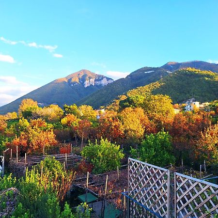 Casa Fifina Rooms Sant'Egidio del Monte Albino ภายนอก รูปภาพ