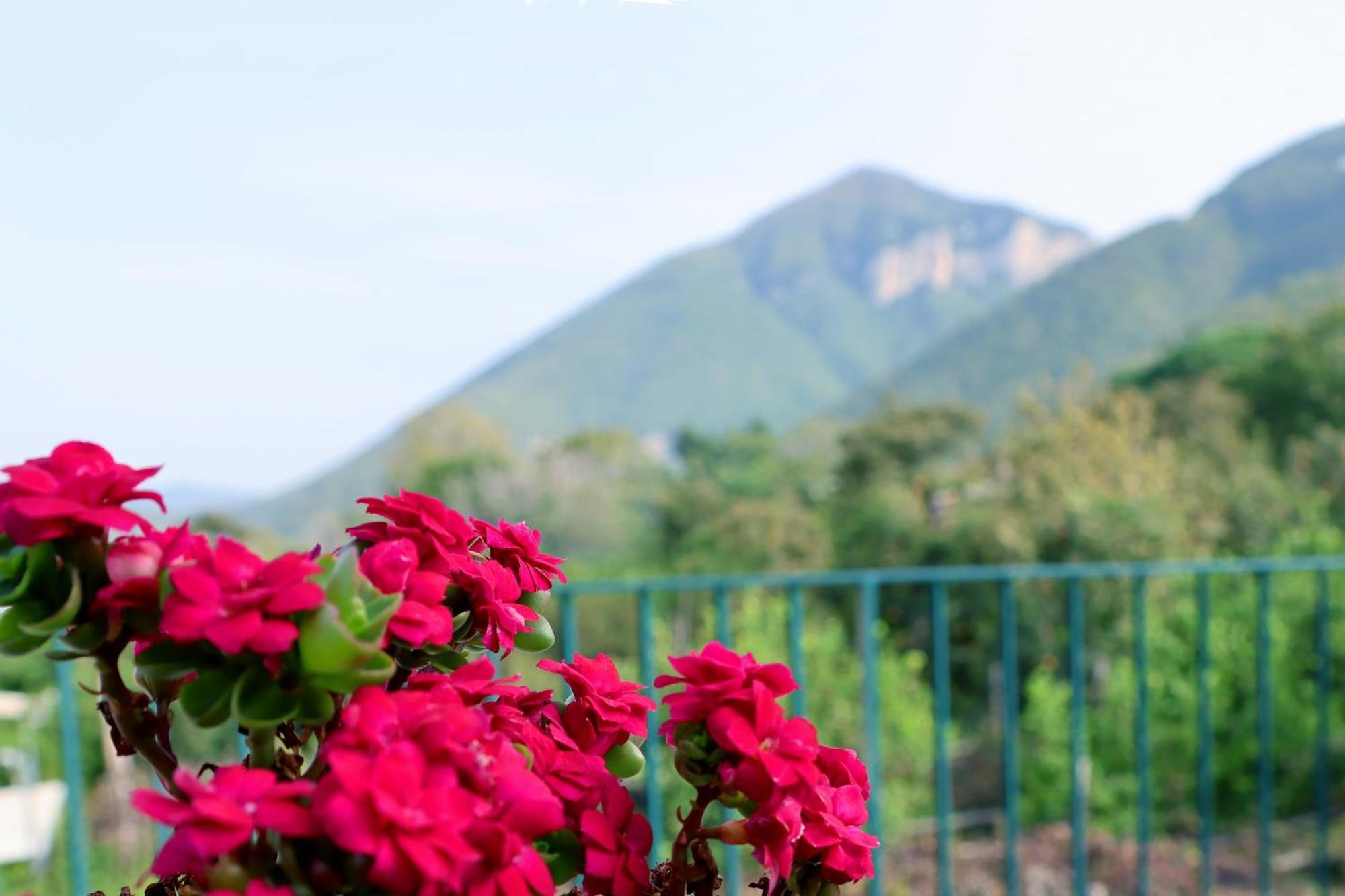 Casa Fifina Rooms Sant'Egidio del Monte Albino ภายนอก รูปภาพ